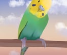 あなたの可愛いペットの鳥ちゃんを可愛く描きます 鳥ちゃんの絵を50枚以上描いてきた者が描きます！ イメージ3