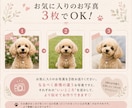 フォトリアル『うちの子』SNSアイコンお作りします 写真3枚からLINE・Instagram・X用アイコン作成 イメージ3