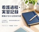 看護過程・実習記録を指導者目線でサポートします 実習指導者講習会修了×臨床10年｜根拠と直し方が分かる イメージ1