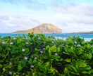 初めてのハワイ旅行。楽しいプランをお作り致します ベタなハワイから裏ハワイ的なプランまでの情報を教えます。 イメージ6