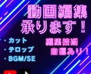 Youtube、TikTok動画編集お手伝いします カット、テロップ、BGM、SEなんでもお任せください！ イメージ1