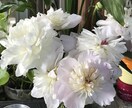 お悩み相談、愚痴のはけ口、肯定を提供します カウンセリング、ヒヤリング、肯定アドバイス能力 イメージ1