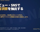 レビュー・SNSで顧客洞察抽出します 定量×定性で“買う理由”を見える化します イメージ4