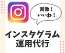 1ヶ月instagram/インスタの運用代行します 代理投稿！いいね、投稿ネタ考案も全てこちらで提案いたします！ イメージ1