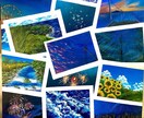 お部屋に飾れる風景画を提供しています 手乗りサイズからご用意してますのでお値段もお手ごろです! イメージ6