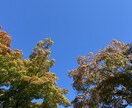 話し相手になります 誰でも弱音を吐いていい場所ですよ イメージ1