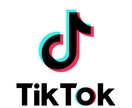 TikTokのフォロワーを500人増やします 10日でTikTokのフォロワーを500人増やします。 イメージ1