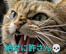絶対に許せない！！スッキリするまでお話聴きます 何で私ばっかりこんな目に遭うの？！最悪な出来事教えてください イメージ1