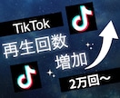 TikTokの再生回数2万回増やします 3投稿まで振分け可◯ティックトックで衝撃のコスパで保証付き！ イメージ10