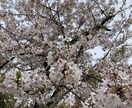 子育て、恋愛相談、栄養ダイエット相談もお受けします 管理栄養士で子育てアドバイザー、相談乗ります^_^ イメージ1