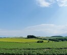 現役旅行会社ママが子連れ北海道旅プランを作成します 子連れ旅の不安に寄り添う！北海道×赤ちゃん旅プランをご提案 イメージ4