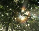 あなたの適職、成功しやすい働き方をご提案します 本気で悩んでいる方へ！占い＋αで現状に即した回答をお渡し イメージ1