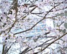 お悩みを聞きます 学校、会社、バイト、生きている事が辛い、等ご相談にのります。 イメージ1