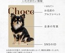 くすみカラーデザインでうちの子名刺作成します オフ会におすすめ！【100枚】印刷して送料無料でお届けします イメージ3
