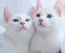 ちょっとしたことでもお話聞きます どんなお話でも大歓迎です！お気軽にどうぞ！ イメージ1