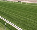 毎週中央競馬と地方競馬の勝負レース予想します 土日中央競馬は全勝負レース！地方競馬は基本毎日！ イメージ1