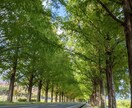 辛い事、忘れられない事、愚痴、どんな相談ものります 誠心誠意話を聞きます、リラックスしてお越しください(^ ^) イメージ1