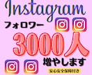 Instagramフォロワー3000人増やします 高品質フォロワーを格安で提供！振り分け可能^ ^ イメージ1