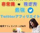Twitterで非常識なマネタイズ方法教えます フォローワー少なくてもマネタイズできてしまう究極の手法 イメージ1