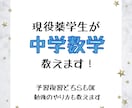 現役薬学生が中学数学を教えます ニガテな子も大歓迎！塾講師歴2年！勉強方法も教えます！ イメージ1