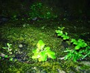 お好みの写真を提供します 高画質で美しい風景の写真をあなたに。 イメージ4