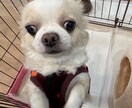とりあえず聞いてほしい内容から深刻な悩み聞きます どんなジャンルでもOKです。短時間でも対応致します。 イメージ1