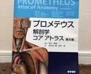 医学部受験の悩みを解決します 【現役医大生が真摯に対応させていただきます】 イメージ1