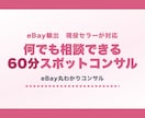 eBay60分スポットコンサル｜何でも対応します 独学のサポートに。時間内いくつでも質問可能です！ イメージ1