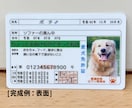 ペット免許証を最短3日で制作します 自社印刷だから安心＆スピード納品可能！ イメージ8