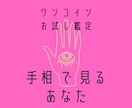 お試しワンコイン！手相占いします 質問おっけー！あなただけのてのひらの宇宙、読み解きます イメージ1