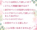 動物と話せるアニマルコミュニケーション講座します 感受性や共感力が高く優しい人向け＊瞑想なし＊HSPさんも納得 イメージ2