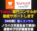 Yahoo!ショッピング運営のプロが徹底支援します 運営ノウハウ不足を解消！ 売上15倍達成のプロが徹底サポート イメージ1
