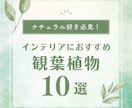 実績600超☆丸投げインスタグラム運用代行します コスト重視で安くInstagramの運用をして欲しい方！ イメージ2