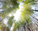 記録から企業・観光PRまで動画撮影いたします ご希望に合わせてあなただけの映像を撮影 イメージ7