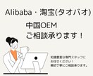 Alibaba、タオバオの中国OEMご相談承ります 中国OEMに詳しいスタッフが丁寧にご説明いたします。 イメージ1