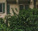 街中でおしゃれな写真、撮れます 余白、構図、登場人物が写真にストーリーを与えてくれます。 イメージ9