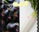 タグ画作ります アイコンでも普通に作るのもできます！ イメージ3