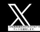 Xアカウント（旧Twitter）運用代行を行います 確かな実績と経験から、ご依頼者様のX運用をサポート致します。 イメージ1