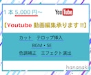 youtubeの動画編集承ります イメージを共有し丁寧な編集を心掛けます！ イメージ1
