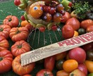 フランス・リヨンについてお答えします 美食の街リヨンの名所、見所を現地から詳しくご紹介！ イメージ5