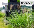 お墓参り代行　写真レポートが付きます 現地に赴き、帰った後チャットに結果を送信 イメージ3