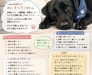きくちゃんが優しくお話聞きます モヤモヤも愚痴も気軽に話してワン イメージ2