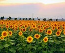日々の人間関係に疲れたお心を癒します 誰かに聞いて欲しい些細な事柄でも構いません。お聞かせ下さい。 イメージ4