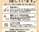 ペットの里親募集デザインを作成します SNS用画像やバナー、ポスターなど イメージ2