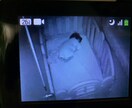 ジーナ式育児のお話聞きます ジーナ式経験者として、ジーナ式で育ててる方のお話聞きます イメージ1