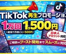 TikTokの再生数増加をサポートします 1万pvで1500円！追加1万pv+500円！ イメージ1