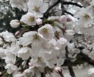 悩み事に光をもたらします あなたにあった方法で解決策を提示！ イメージ2