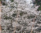 風景やディズニーの自作模型写真を提供してます 自作模型写真、風景画像など癒し画像の提供 イメージ9