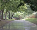 ご希望に添ったお写真をお届けします ご希望に添ったお写真をご提供させて頂きます!! イメージ6