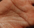 運命鑑定☆24時間以内に結果をお伝えします /恋愛・人間関係・仕事…あなたのお悩みに寄り添う占い/ イメージ4